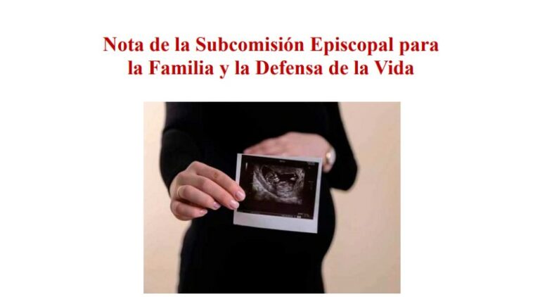 Nota Subcomisión: Defensa de la Familia y la Vida 