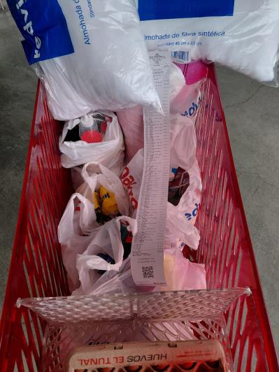Carro de la compra con los productos adquiridos