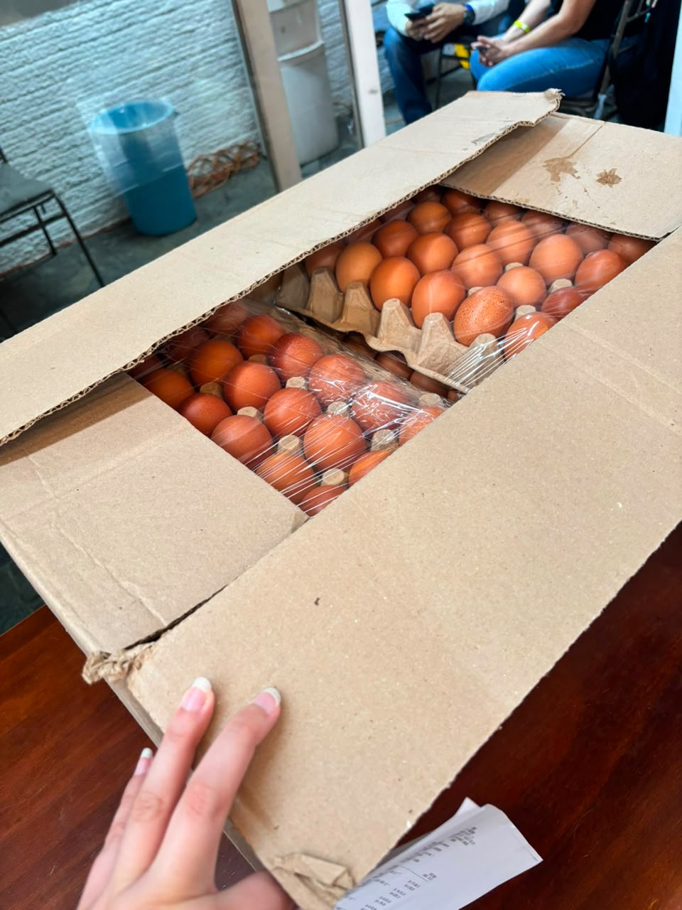 Caja de huevos comprada para los mercados